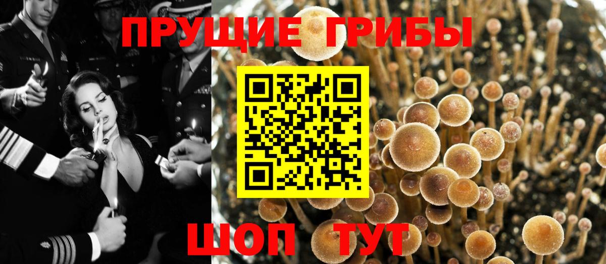 наркотики  Вход с VPN  Костомукша  Псилоцибиновые грибы GOLDEN TEACHER 