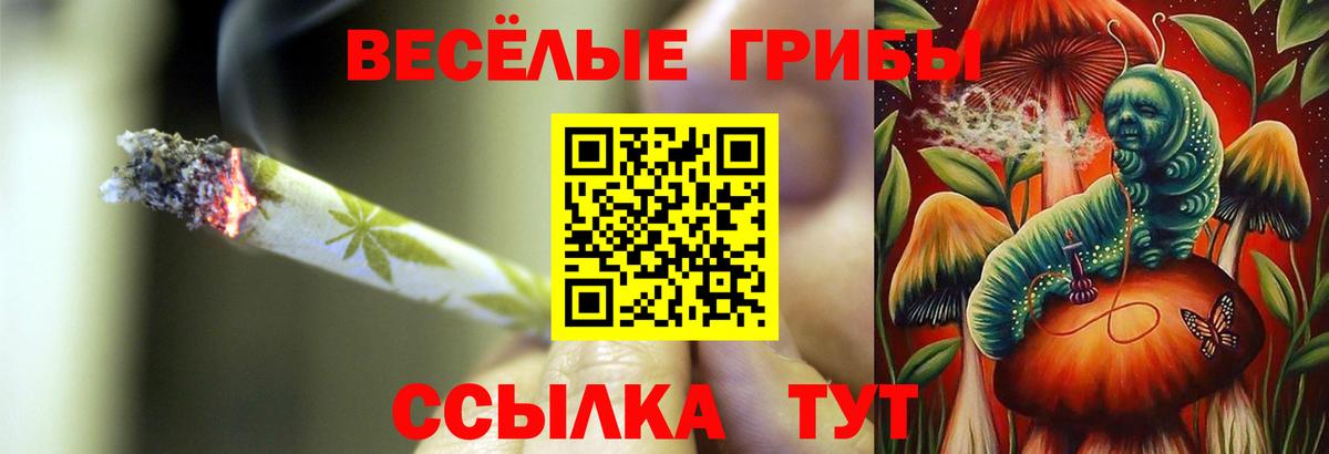 Псилоцибиновые грибы GOLDEN TEACHER Костомукша
